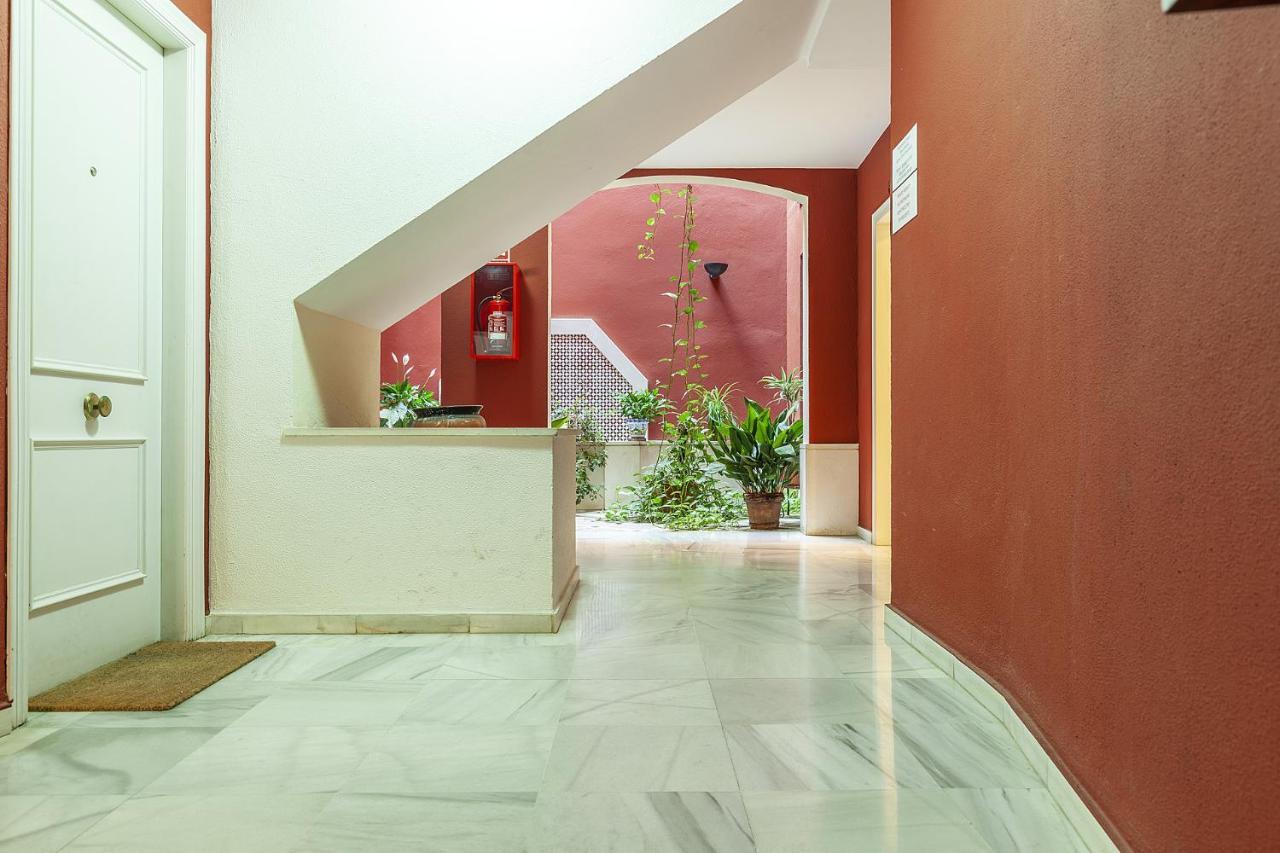 Appartement Precioso En Santa Cruz Lirio Bajo